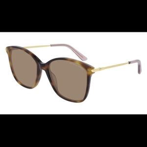 Bottega Veneta Sunglasses BV0254S 03 Havana Brown with Original Soft Case